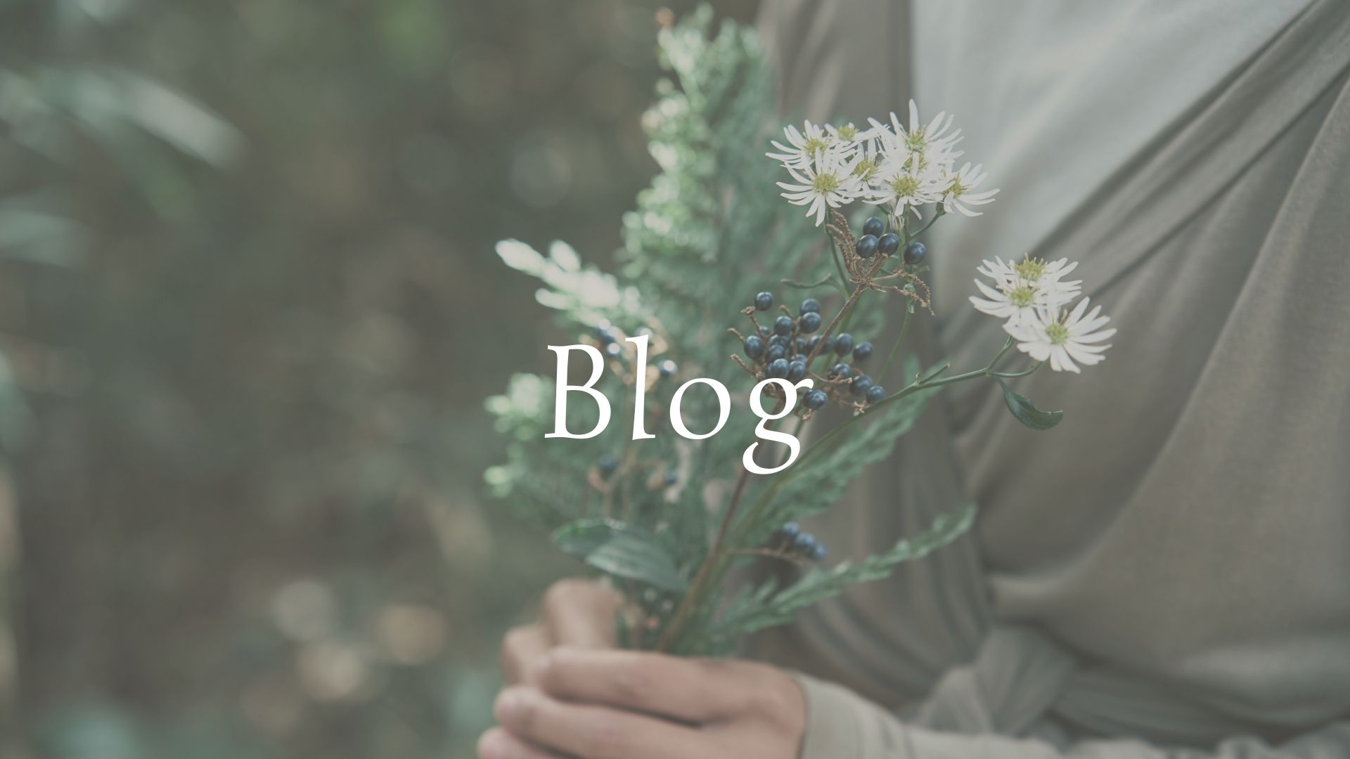 Blog